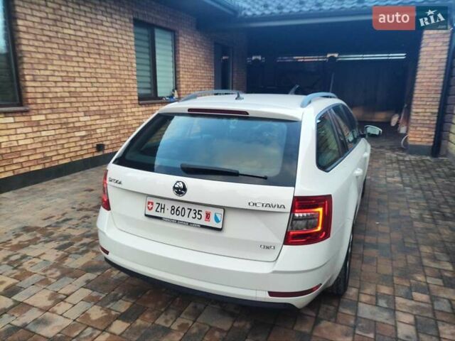 Белый Шкода Октавия, объемом двигателя 2 л и пробегом 271 тыс. км за 14399 $, фото 8 на Automoto.ua
