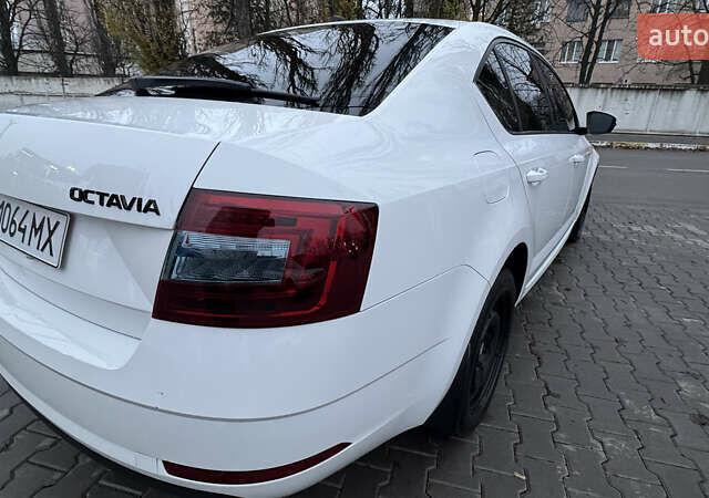Белый Шкода Октавия, объемом двигателя 1.4 л и пробегом 75 тыс. км за 16500 $, фото 41 на Automoto.ua