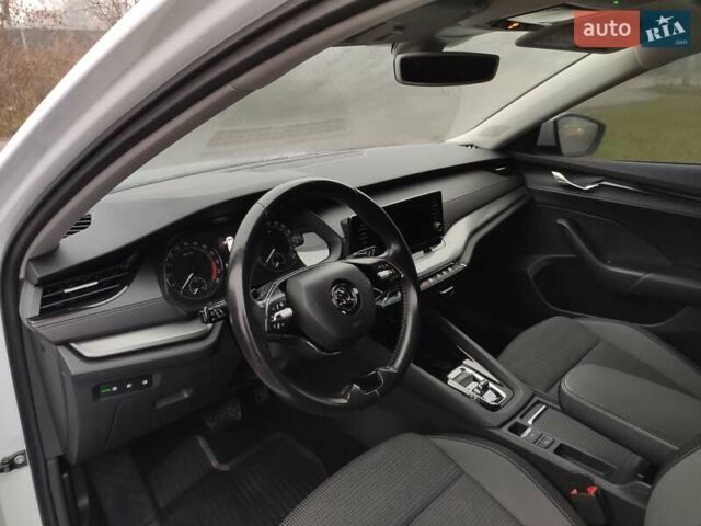 Белый Шкода Октавия, объемом двигателя 2 л и пробегом 310 тыс. км за 17800 $, фото 12 на Automoto.ua