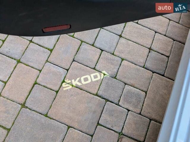 Шкода Октавия 2020 в Луцке на Automoto.ua Белый Шкода Октавия, объемом двигателя 1.97 л и пробегом 197 тыс. км за 23800 $, фото 77 на Automoto.ua
