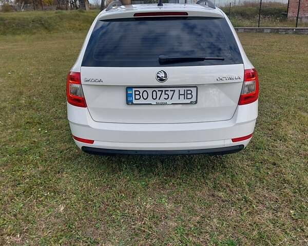 Шкода Октавия 2020 в Тернополе на Automoto.ua Белый Шкода Октавия, объемом двигателя 1.97 л и пробегом 187 тыс. км за 15200 $, фото 16 на Automoto.ua