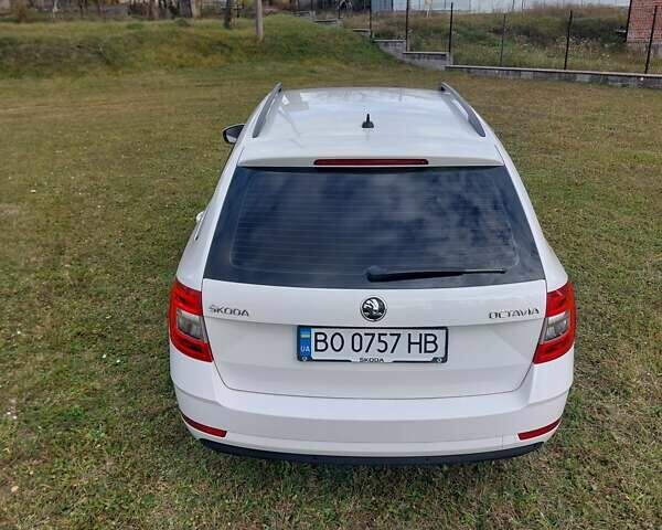Шкода Октавия 2020 в Тернополе на Automoto.ua Белый Шкода Октавия, объемом двигателя 1.97 л и пробегом 187 тыс. км за 15200 $, фото 15 на Automoto.ua