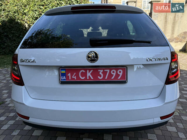 Білий Шкода Октавія, об'ємом двигуна 2 л та пробігом 199 тис. км за 16250 $, фото 61 на Automoto.ua