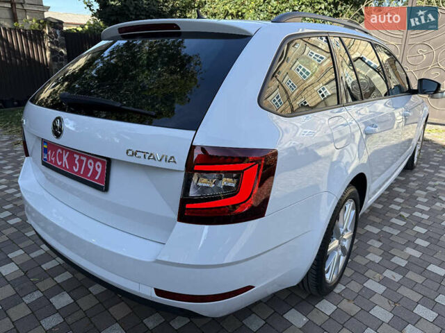Білий Шкода Октавія, об'ємом двигуна 2 л та пробігом 199 тис. км за 16250 $, фото 66 на Automoto.ua