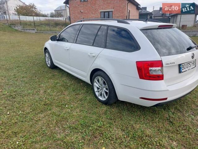 Шкода Октавия 2020 в Тернополе на Automoto.ua Белый Шкода Октавия, объемом двигателя 1.97 л и пробегом 187 тыс. км за 15200 $, фото 13 на Automoto.ua