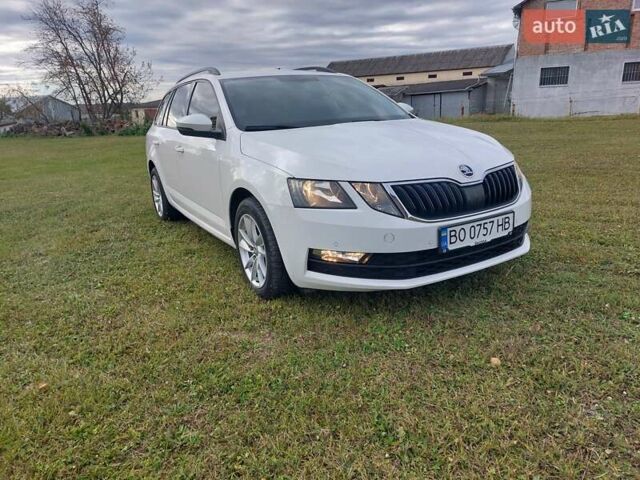 Шкода Октавия 2020 в Тернополе на Automoto.ua Белый Шкода Октавия, объемом двигателя 1.97 л и пробегом 187 тыс. км за 15200 $, фото 5 на Automoto.ua