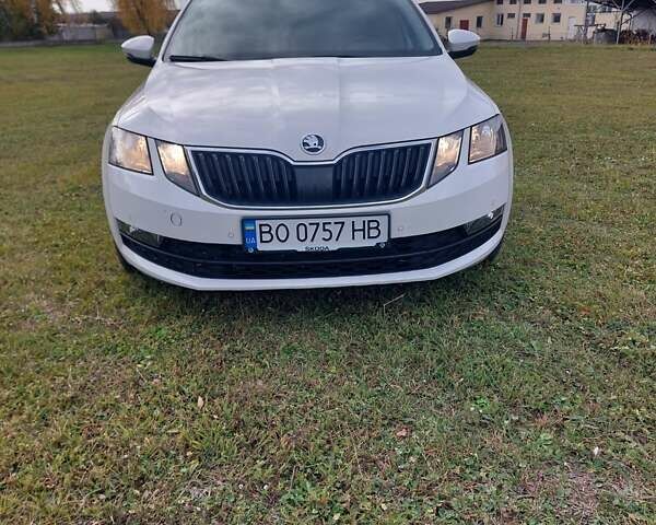 Шкода Октавия 2020 в Тернополе на Automoto.ua Белый Шкода Октавия, объемом двигателя 1.97 л и пробегом 187 тыс. км за 15200 $, фото 20 на Automoto.ua