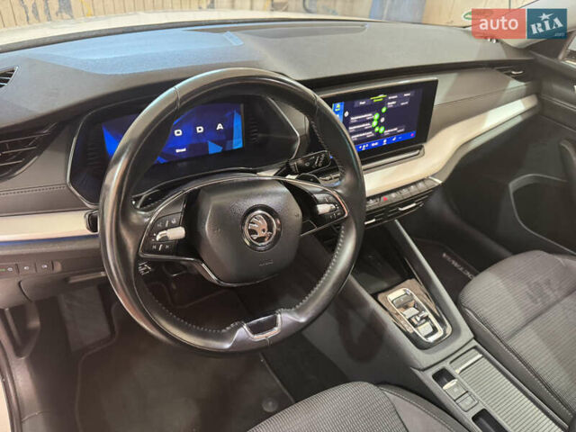 Білий Шкода Октавія, об'ємом двигуна 2 л та пробігом 197 тис. км за 20500 $, фото 24 на Automoto.ua