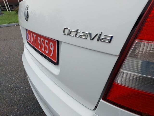 Белый Шкода Октавия, объемом двигателя 1.4 л и пробегом 187 тыс. км за 8000 $, фото 10 на Automoto.ua