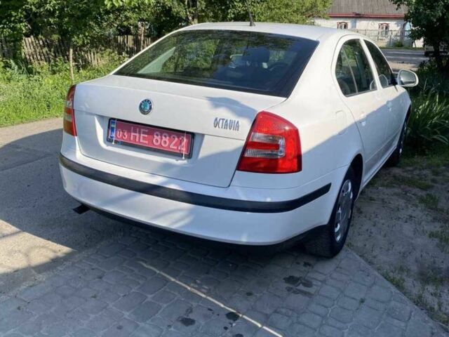 Білий Шкода Октавія, об'ємом двигуна 1.6 л та пробігом 187 тис. км за 7800 $, фото 2 на Automoto.ua