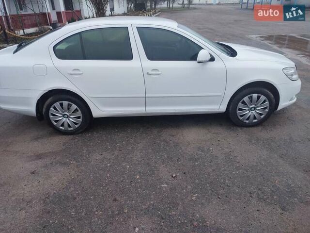 Білий Шкода Октавія, об'ємом двигуна 1.6 л та пробігом 150 тис. км за 8500 $, фото 14 на Automoto.ua