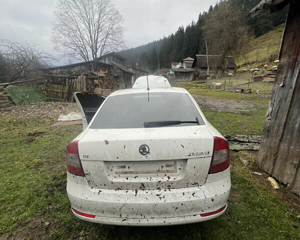 Белый Шкода Октавия, объемом двигателя 1.6 л и пробегом 288 тыс. км за 5500 $, фото 2 на Automoto.ua