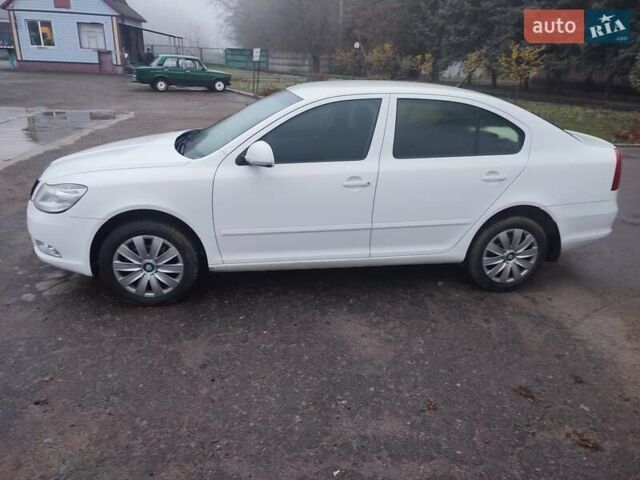 Білий Шкода Октавія, об'ємом двигуна 1.6 л та пробігом 150 тис. км за 8500 $, фото 17 на Automoto.ua