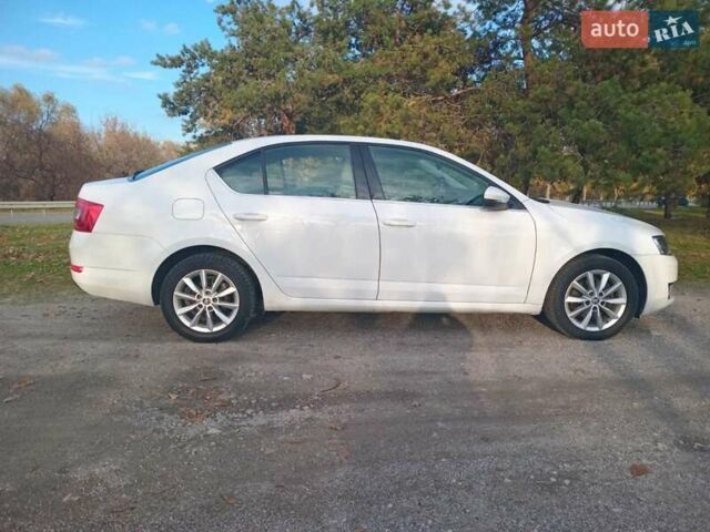 Белый Шкода Октавия, объемом двигателя 1.6 л и пробегом 218 тыс. км за 9700 $, фото 15 на Automoto.ua