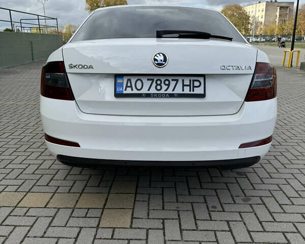 Шкода Октавия 2013 в Мукачеве на Automoto.ua Белый Шкода Октавия, объемом двигателя 1.6 л и пробегом 325 тыс. км за 10999 $, фото 6 на Automoto.ua