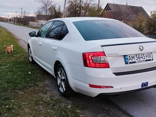 Белый Шкода Октавия, объемом двигателя 1.6 л и пробегом 300 тыс. км за 9700 $, фото 2 на Automoto.ua