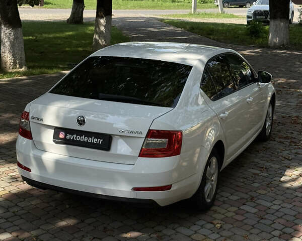 Белый Шкода Октавия, объемом двигателя 1.6 л и пробегом 296 тыс. км за 9800 $, фото 17 на Automoto.ua