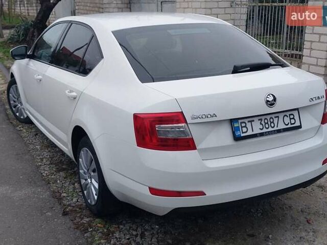 Белый Шкода Октавия, объемом двигателя 1.4 л и пробегом 220 тыс. км за 10500 $, фото 3 на Automoto.ua