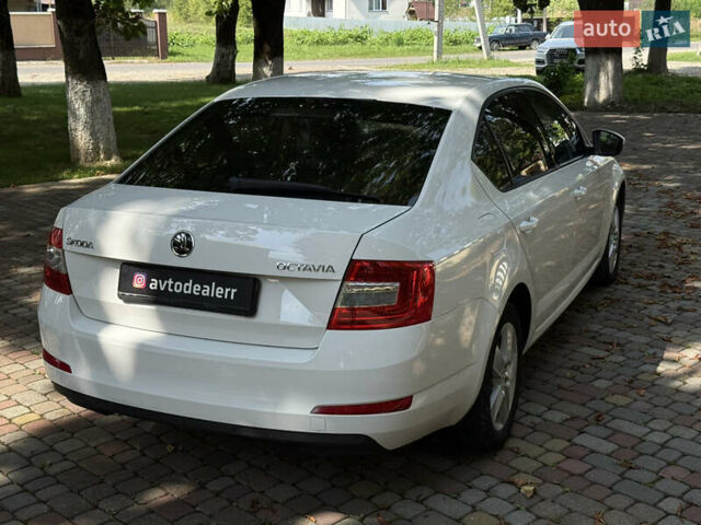 Белый Шкода Октавия, объемом двигателя 1.6 л и пробегом 296 тыс. км за 9800 $, фото 23 на Automoto.ua
