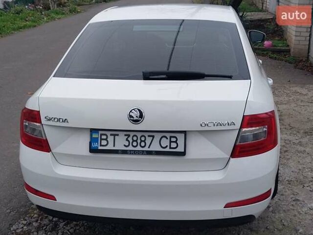 Белый Шкода Октавия, объемом двигателя 1.4 л и пробегом 220 тыс. км за 10500 $, фото 6 на Automoto.ua