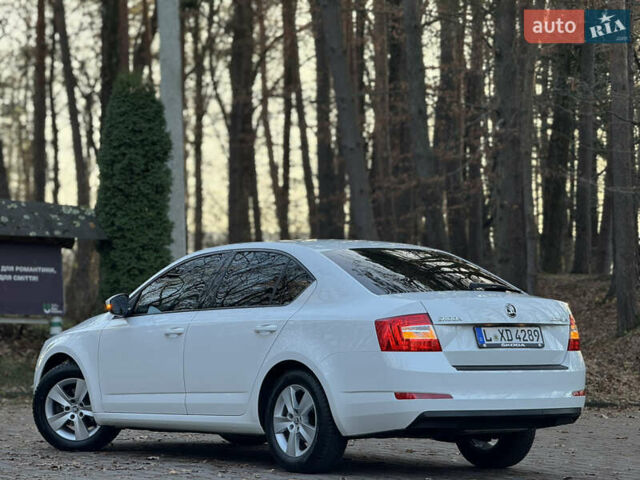 Белый Шкода Октавия, объемом двигателя 1.6 л и пробегом 207 тыс. км за 10499 $, фото 59 на Automoto.ua
