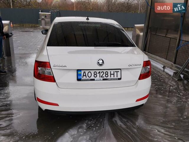 Білий Шкода Октавія, об'ємом двигуна 1.6 л та пробігом 230 тис. км за 10000 $, фото 6 на Automoto.ua