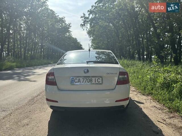 Белый Шкода Октавия, объемом двигателя 1.4 л и пробегом 187 тыс. км за 12500 $, фото 9 на Automoto.ua
