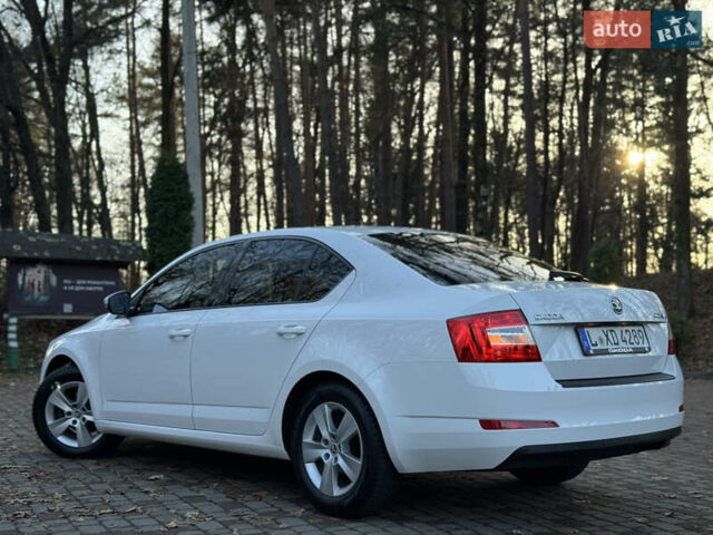 Белый Шкода Октавия, объемом двигателя 1.6 л и пробегом 207 тыс. км за 10499 $, фото 61 на Automoto.ua