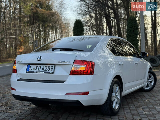 Белый Шкода Октавия, объемом двигателя 1.6 л и пробегом 207 тыс. км за 10499 $, фото 43 на Automoto.ua