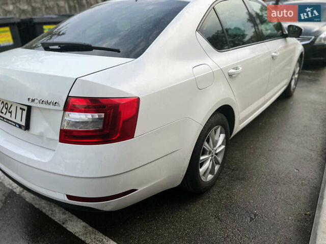Белый Шкода Октавия, объемом двигателя 1.6 л и пробегом 214 тыс. км за 12200 $, фото 9 на Automoto.ua