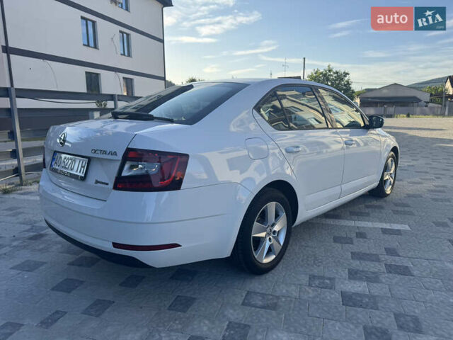 Белый Шкода Октавия, объемом двигателя 1.6 л и пробегом 202 тыс. км за 12500 $, фото 3 на Automoto.ua