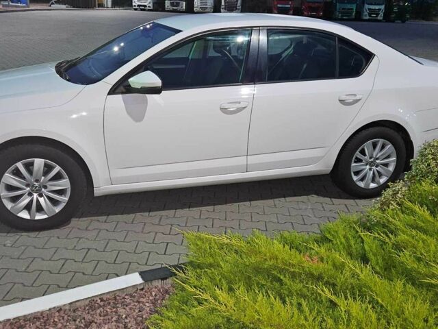 Шкода Октавия 2017 в Киеве на Automoto.ua Белый Шкода Октавия, объемом двигателя 1.4 л и пробегом 236 тыс. км за 13900 $, фото 1 на Automoto.ua