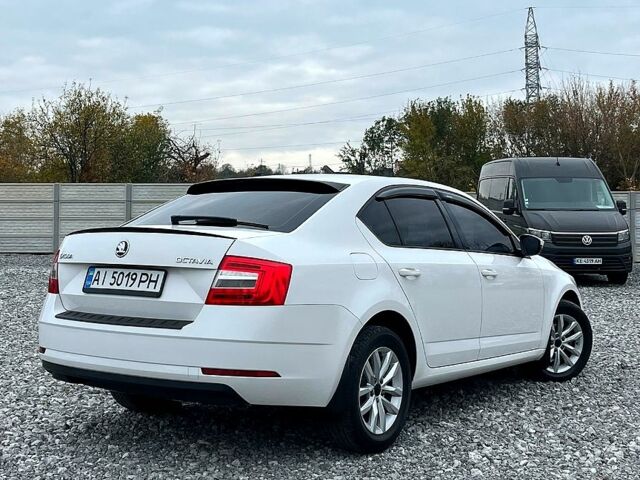 Белый Шкода Октавия, объемом двигателя 1.6 л и пробегом 280 тыс. км за 13000 $, фото 4 на Automoto.ua