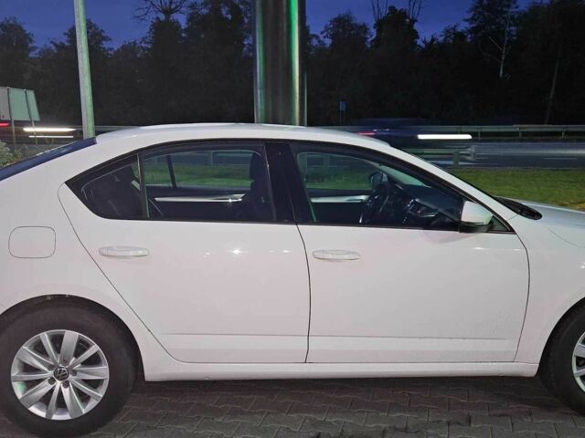 Шкода Октавия 2017 в Киеве на Automoto.ua Белый Шкода Октавия, объемом двигателя 1.4 л и пробегом 236 тыс. км за 13900 $, фото 23 на Automoto.ua