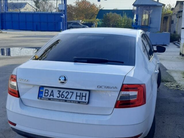 Шкода Октавія 2017 у Кропивницькому (Кіровограді) на Automoto.ua Білий Шкода Октавія, об'ємом двигуна 1.6 л та пробігом 80 тис. км за 14500 $, фото 1 на Automoto.ua
