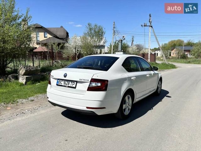Белый Шкода Октавия, объемом двигателя 1.6 л и пробегом 186 тыс. км за 14200 $, фото 4 на Automoto.ua