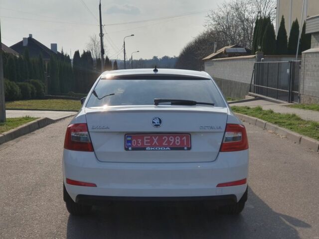 Белый Шкода Октавия, объемом двигателя 1.6 л и пробегом 232 тыс. км за 11800 $, фото 3 на Automoto.ua