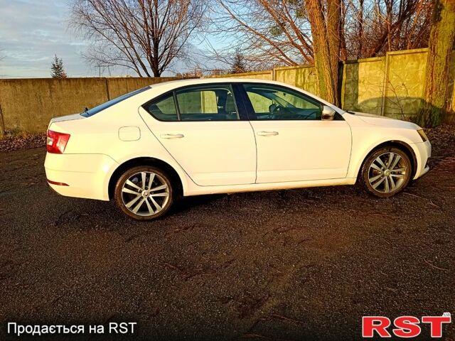 Білий Шкода Октавія, об'ємом двигуна 1.6 л та пробігом 211 тис. км за 13650 $, фото 4 на Automoto.ua