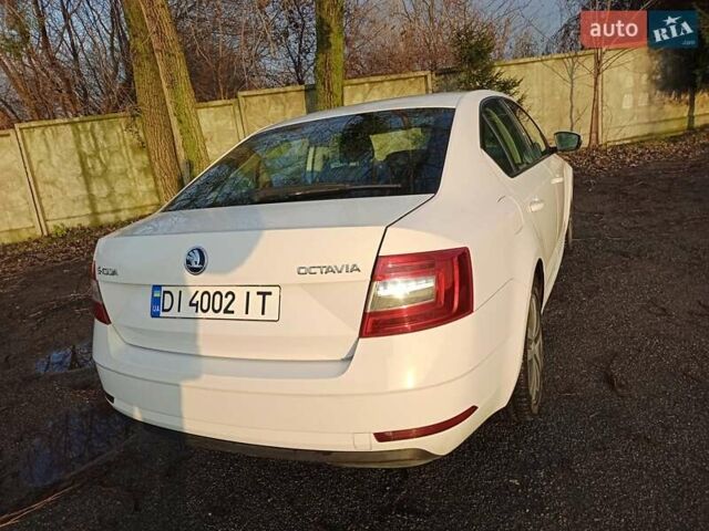 Белый Шкода Октавия, объемом двигателя 1.6 л и пробегом 366 тыс. км за 12300 $, фото 11 на Automoto.ua