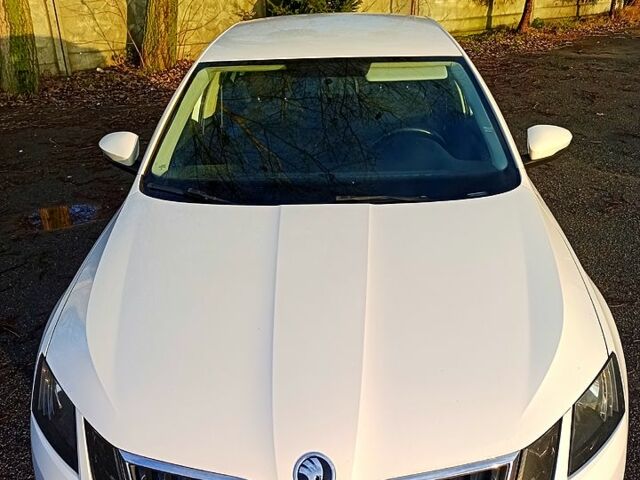 Білий Шкода Октавія, об'ємом двигуна 1.6 л та пробігом 211 тис. км за 13650 $, фото 9 на Automoto.ua