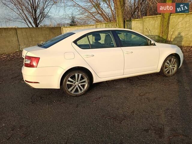 Белый Шкода Октавия, объемом двигателя 1.6 л и пробегом 366 тыс. км за 12300 $, фото 15 на Automoto.ua