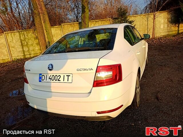 Білий Шкода Октавія, об'ємом двигуна 1.6 л та пробігом 211 тис. км за 13650 $, фото 11 на Automoto.ua