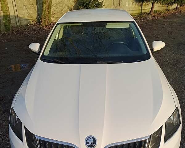 Белый Шкода Октавия, объемом двигателя 1.6 л и пробегом 366 тыс. км за 12300 $, фото 12 на Automoto.ua