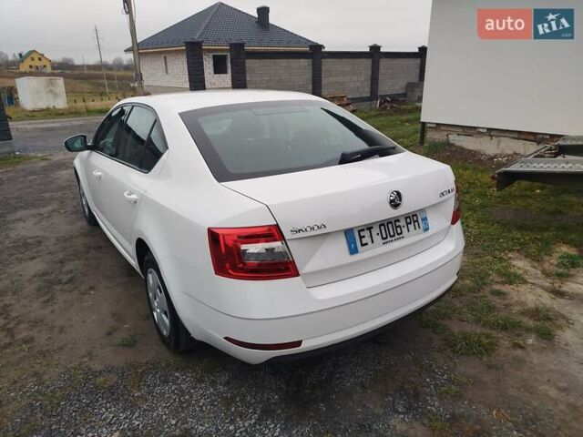 Білий Шкода Октавія, об'ємом двигуна 1.6 л та пробігом 261 тис. км за 10999 $, фото 19 на Automoto.ua