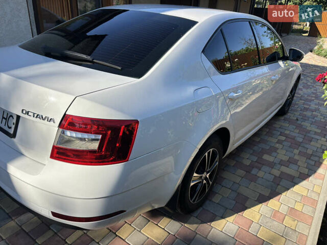 Белый Шкода Октавия, объемом двигателя 1.6 л и пробегом 230 тыс. км за 12300 $, фото 2 на Automoto.ua