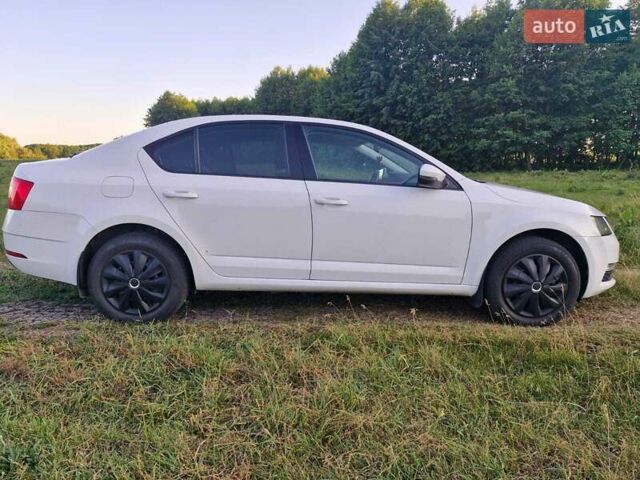 Білий Шкода Октавія, об'ємом двигуна 1.4 л та пробігом 190 тис. км за 13950 $, фото 5 на Automoto.ua