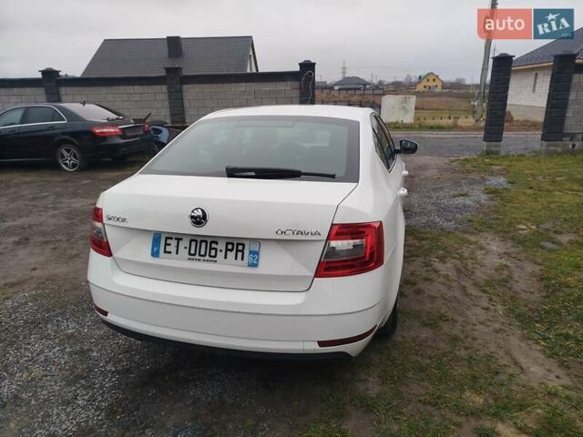 Білий Шкода Октавія, об'ємом двигуна 1.6 л та пробігом 261 тис. км за 10999 $, фото 17 на Automoto.ua