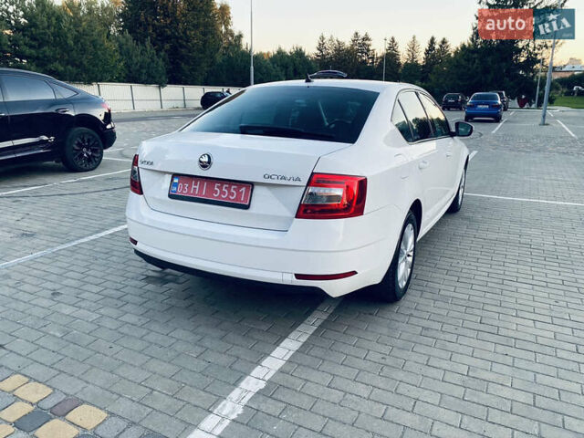 Білий Шкода Октавія, об'ємом двигуна 1.6 л та пробігом 207 тис. км за 11985 $, фото 39 на Automoto.ua