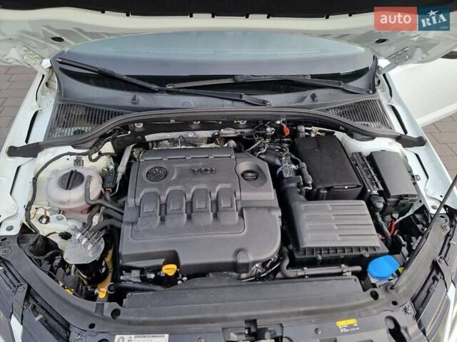 Белый Шкода Октавия, объемом двигателя 1.6 л и пробегом 227 тыс. км за 13300 $, фото 17 на Automoto.ua