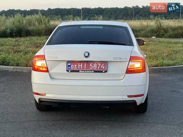 Білий Шкода Октавія, об'ємом двигуна 1.6 л та пробігом 164 тис. км за 13699 $, фото 14 на Automoto.ua